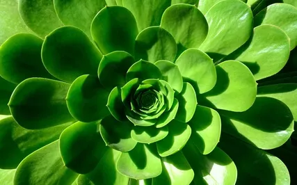 What If You Had Your Life To Live Over?