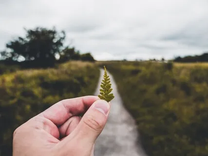 What Is A Thought? (What Is Now? Podcast)