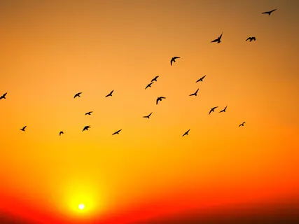 What Is Beyond The Universe