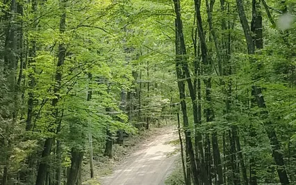 What Is Certain Is Uncertainty