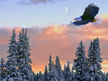 (2/11) Demystifying Confidence And Self-Esteem | Confidence & Self-Esteem Series