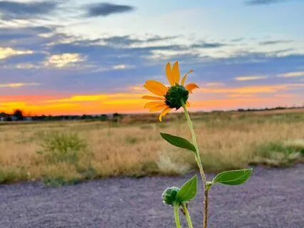 What Is EFT Tapping & How It Works