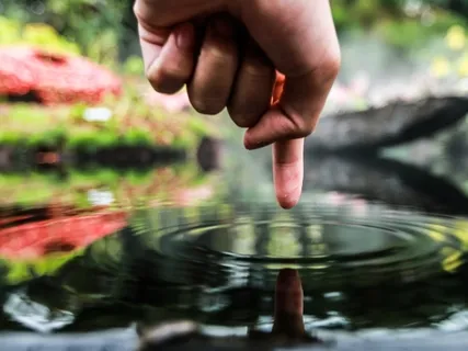 What Is Enlightenment?