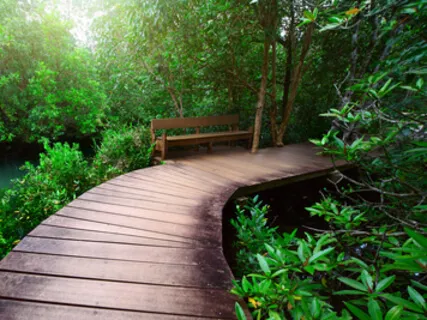 Recharge Practice: What Is For You Will Not Pass You 