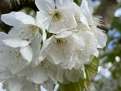 What Is In Your Backpack?