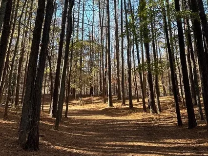 What Is It I Feel In This Moment? Five Mins With Curiosity