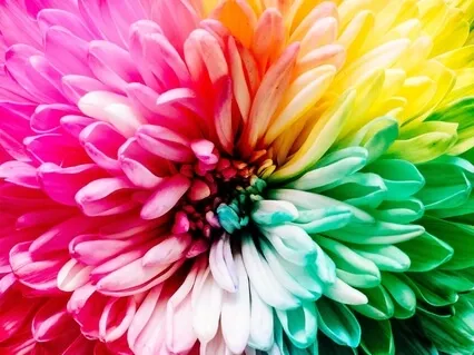 What Is Karma Yoga - Follow It Daily & Remain Happy 