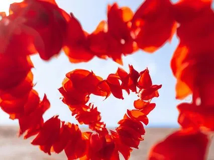 What Is Love? Meditation To Feel And Share Love