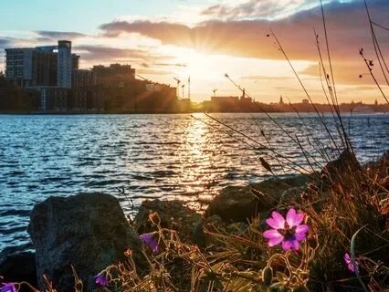 What Is Meant By 'No-Self'?