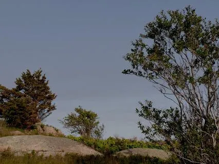 What Is Meditation? 3 Part Series (Intro & Part 1)