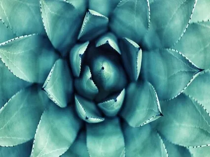 What Is Mindfulness And Why Do I Need It? 