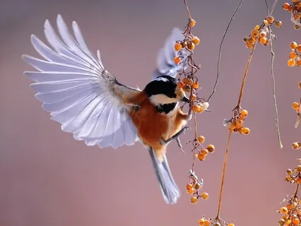 What Is Mindfulness Meditation?