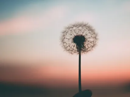 What Is Mindfulness Meditation?