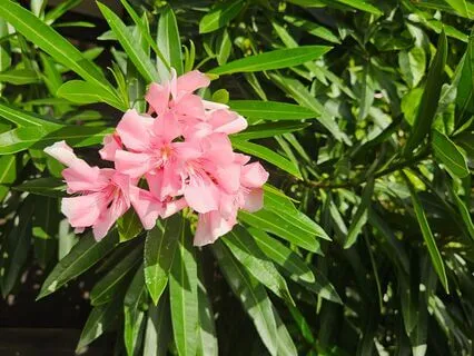 What Is Mindfulness Meditation?