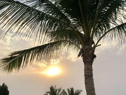 What Is My Heart's Deepest Longing?