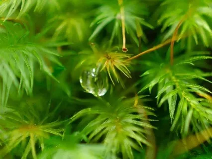 What Is My Life Purpose