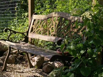 What Is My Purpose - Guided Meditation