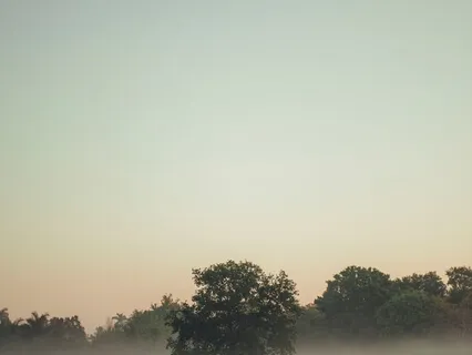 What Is Now? Podcast: Where Is The "Self"?