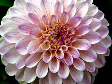 What Is The Real Self, Separate From The False Self?