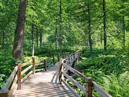 What Is Soul/Spirit Death And How I Moved Past It In My Own Heroine's Journey