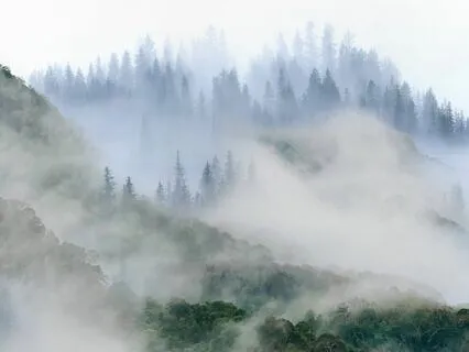 What Is Spirituality?