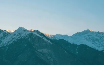 What Is The Entity That Depends?