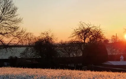 What Is The Essence Of Me