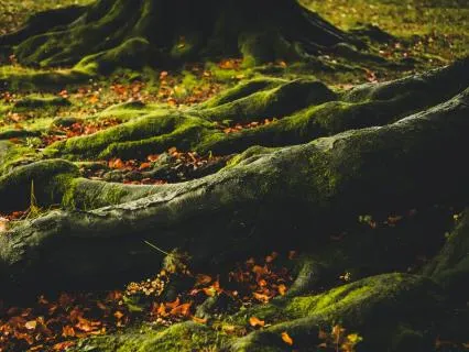 What Is The Journey Inward?