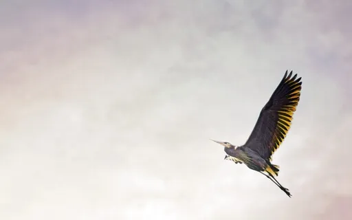 What Is The Source Of Bliss?