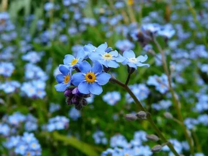 What Is The True Pace Of Life? - May 05