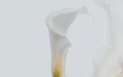 What Is There To Celebrate Right Now?