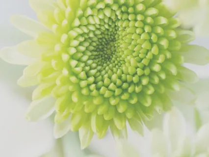 What Is Time - Guided Thetawave Meditation