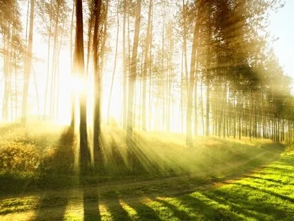 What Is Trauma And Tension Releasing Exercise (TRE) And Why Does It Matter?