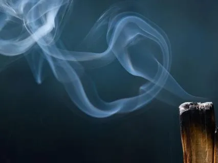 What Is Vairagya?