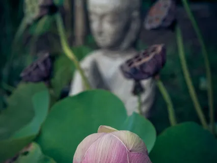 What Is Yoga According To Patanjali Explained By Vyasa