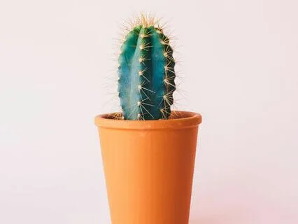 What Is Your Pain Trying To Tell You?