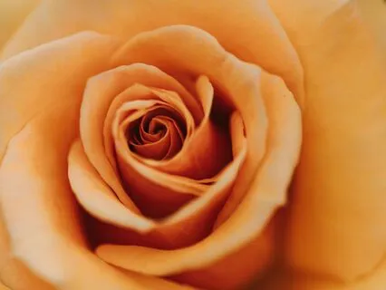 What Is Your Real Identity?