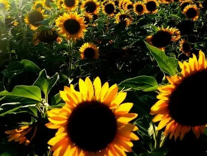 What Is Your Self-Worth ~ End Procrastination ~ Pt 2/4 E112