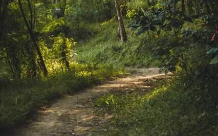 What Is Your Unique Business Path?