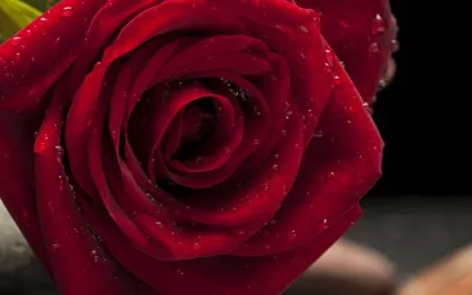 What It Means To Live Your Desires