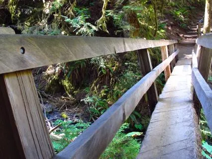 What It Means To Walk For Peace