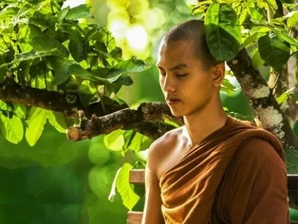 What Kind Of Yogi Are You?