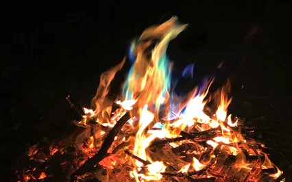 What Makes Me Feel Alive? Connect To Your Purpose