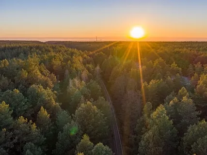 What Makes You Happy, Like Mind-Bogglingly, Jump Up & Down Kind Of Happy?