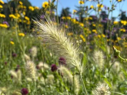 What Matters Most: A Values Meditation