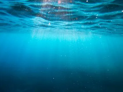 What Meditation Really Is