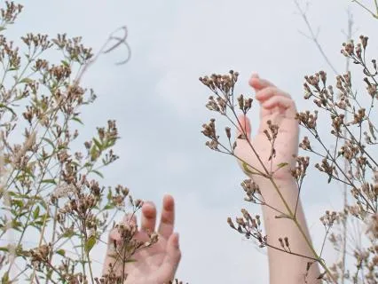 What Nervous System Regulation Really Means | Somatics