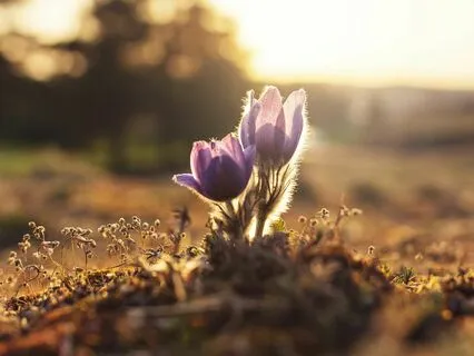 What No One Tells You About The Inner Critic