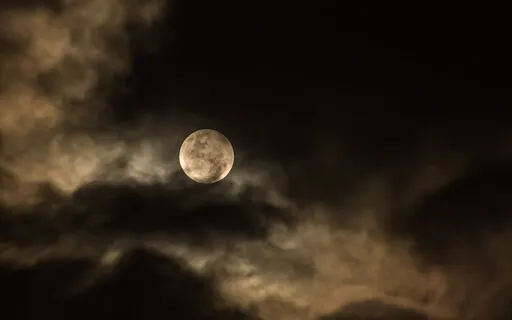 What Not To Do Before Bed For Sleep