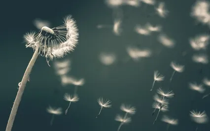 What Now? - Visioning Practice